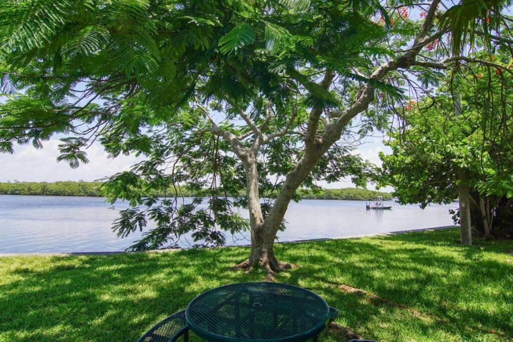 רסקין Riverview, Studio 507, Beach Steps Away!+Pool+Wifi מראה חיצוני תמונה